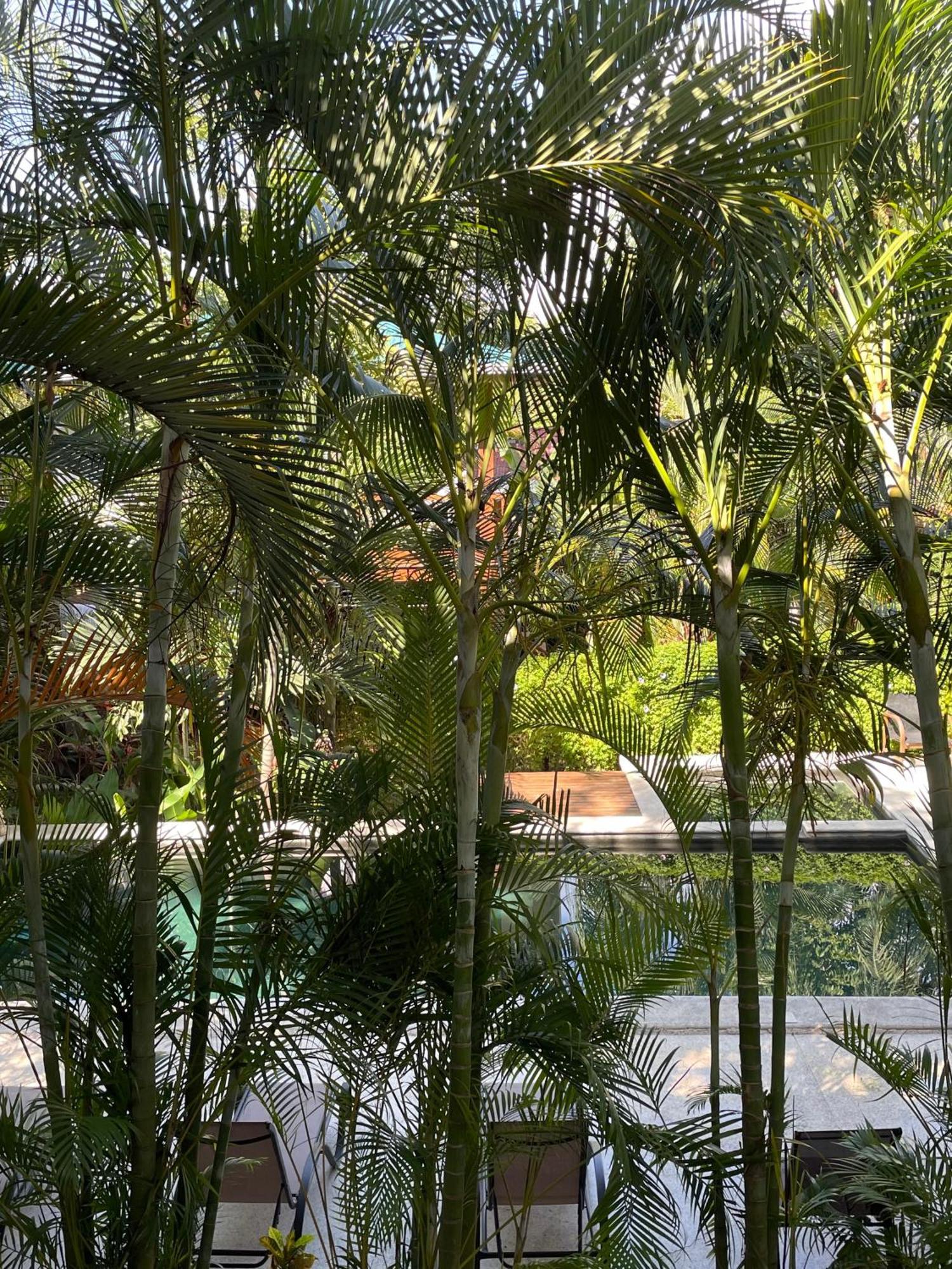 Ohana Villas Playa Santa Teresa  Exterior photo